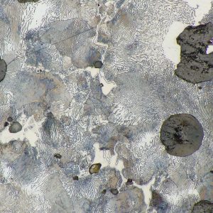 img 4210-2024-3